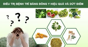 Cách chữa trị bệnh Trĩ bằng Đông Y đem lại hiệu quả và dứt điểm