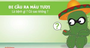 Đi cầu ra máu tươi là bị bệnh gì và cách điều trị