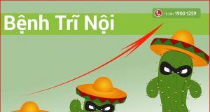 bệnh trĩ nội độ 2