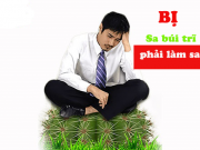 Bị sa búi trĩ phải làm sao