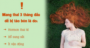 Tình trạng bị táo bón khi mang thai 3 tháng đầu có sao không