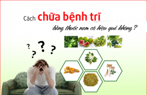 cách chữa bệnh trĩ bằng thuốc nam có hiệu quả không